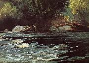 Winslow Homer Hudson River Rapids painting